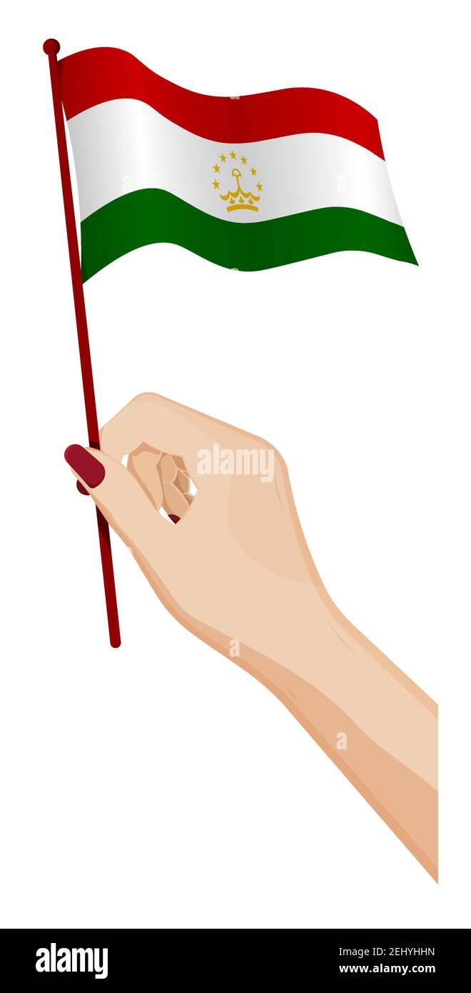 Female hand gently holds small flag of Tajikistan. Holiday design element. Cartoon vector on white background Stock Vector