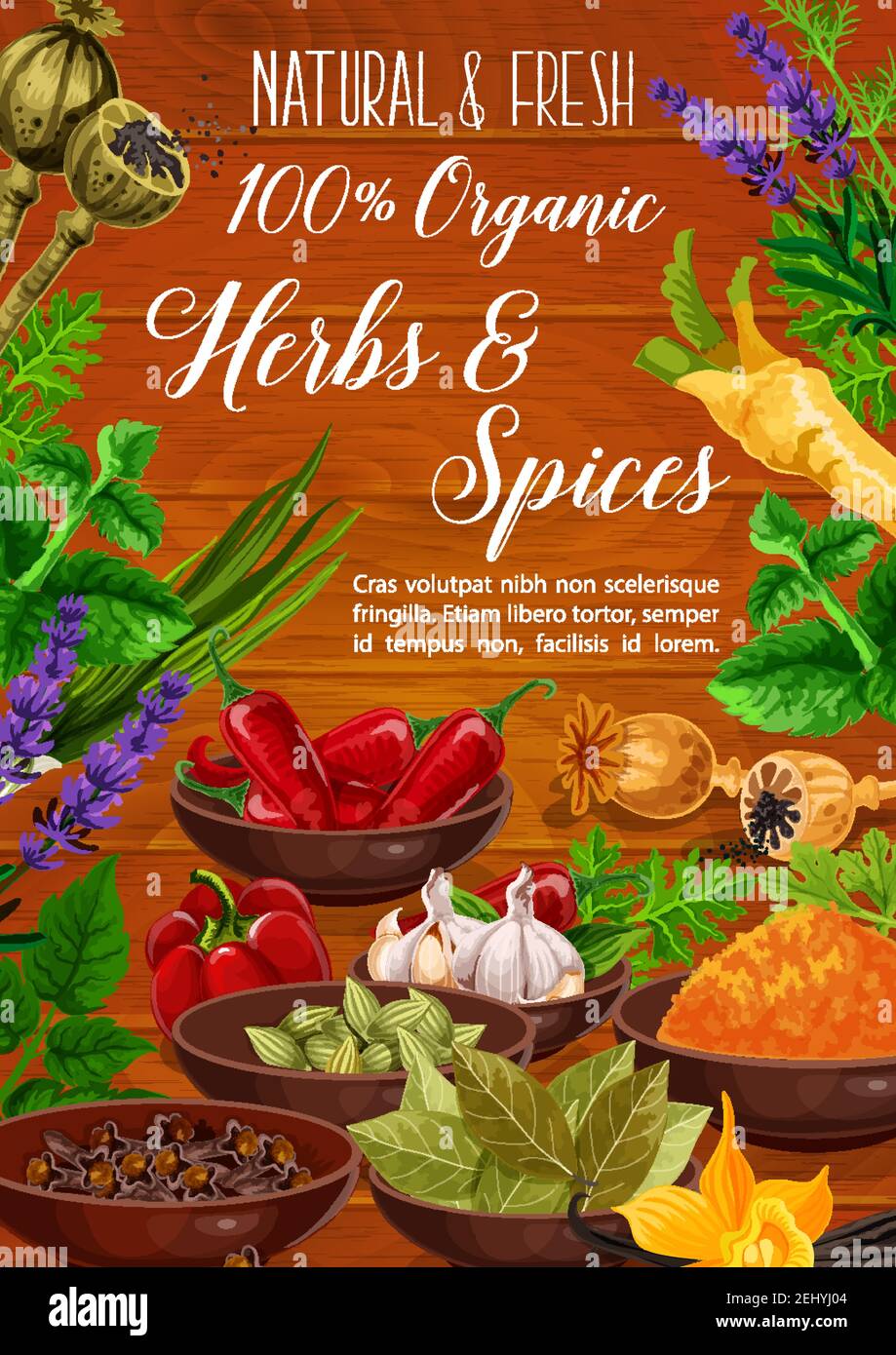 https://c8.alamy.com/comp/2EHYJ04/herbs-spices-cooking-condiments-and-vegetable-seasonings-vector-poster-pepper-garlic-and-parsley-chili-vanilla-and-mint-dill-turmeric-and-card-2EHYJ04.jpg