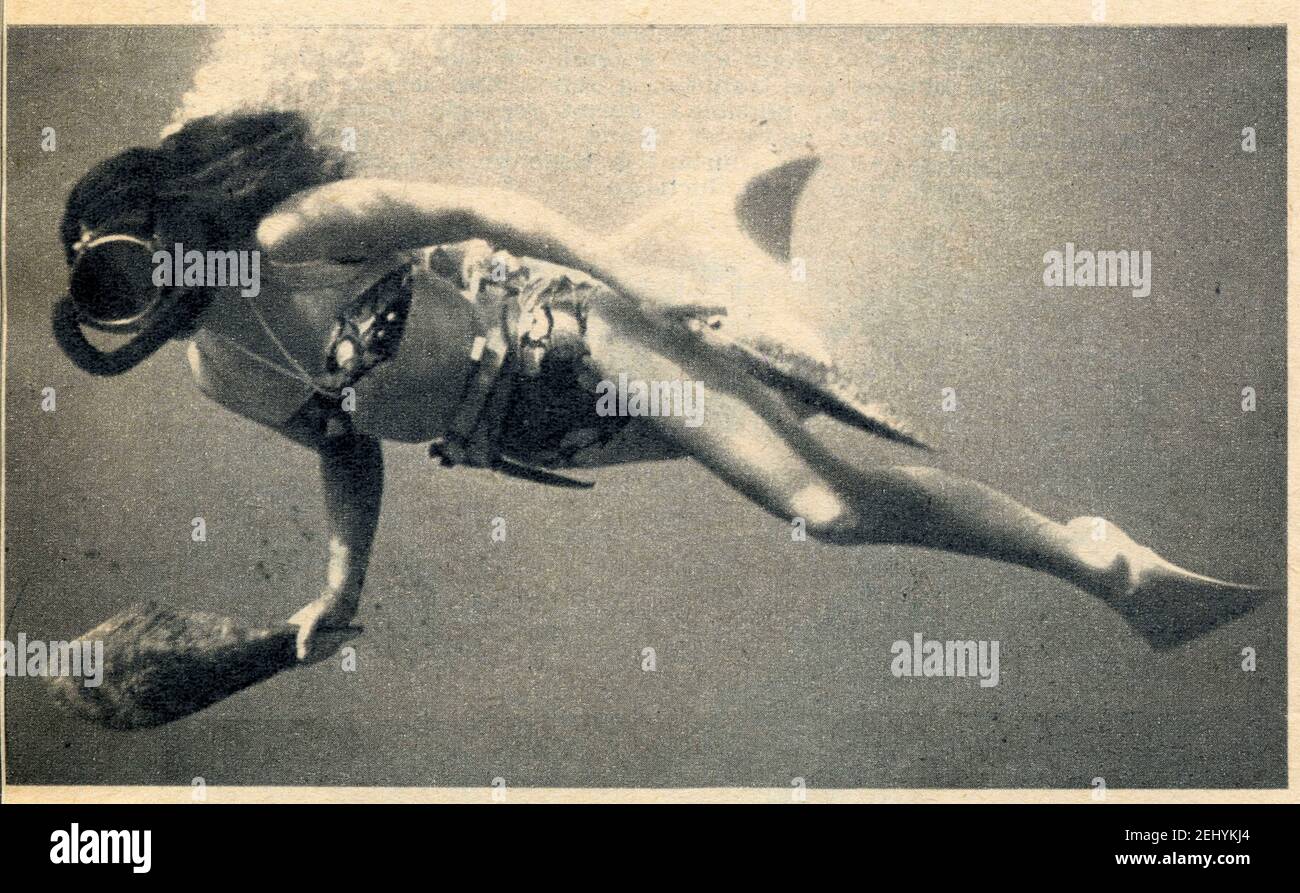 Le monde sous-marin exige la prudence. 1960 Stock Photo