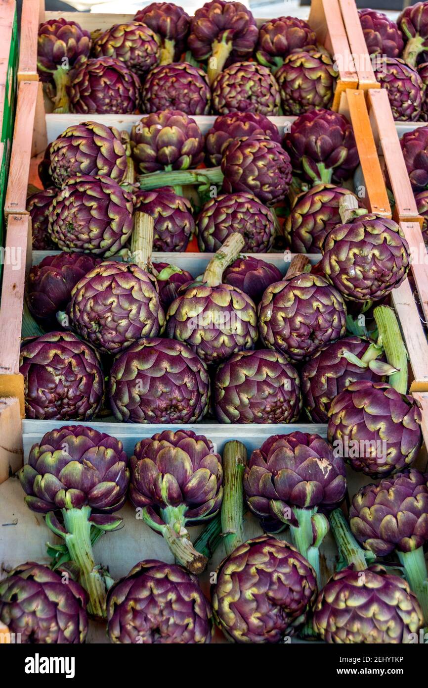 Freshly harvested purple artichokes displayed in wooden crates at a vibrant farmer's market in early autumn Stock Photo