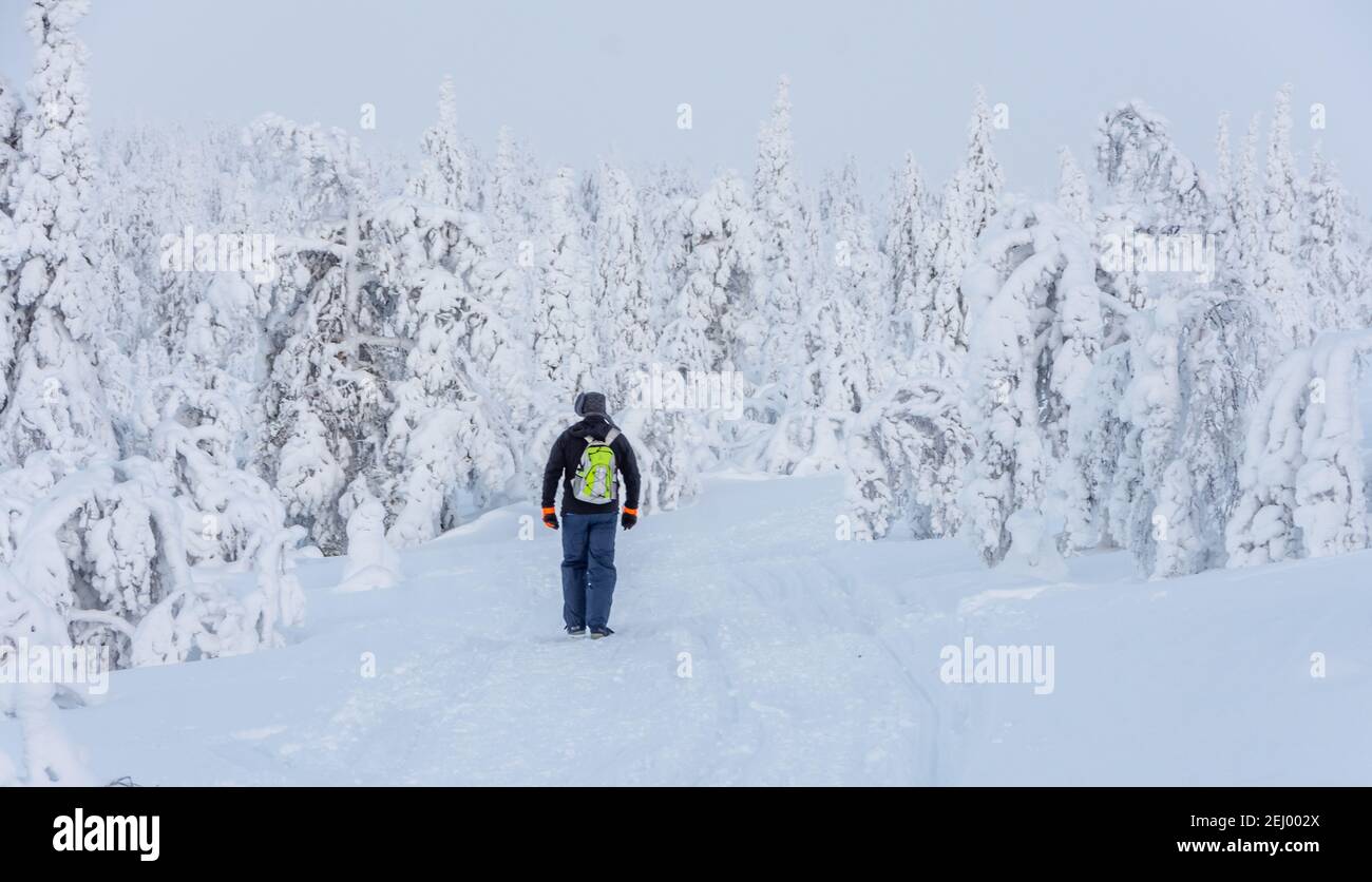 Walking through snowy forest hi-res stock photography and images - Alamy