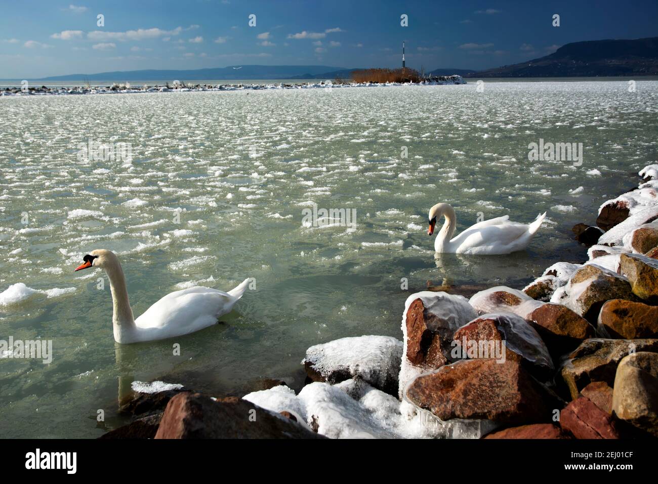 Lake Balaton at witer time, Hungary Stock Photo