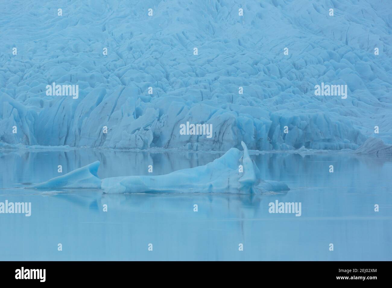 Many glaciers float and drift on the calm Fjallsarlon Glacier Lake in Iceland. Stock Photo