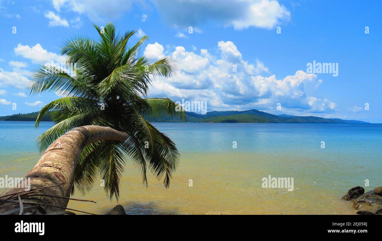 Port Blair Island against inclined coconut tree in Andaman and Nicobar Islands, India. Stock Photo