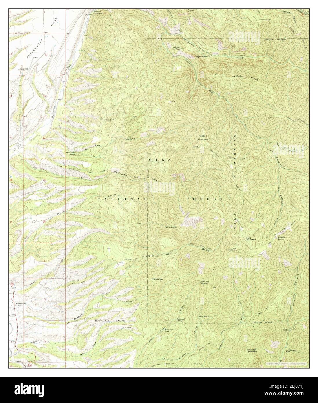 Holt Mountain, New Mexico, map 1965, 124000, United States of America