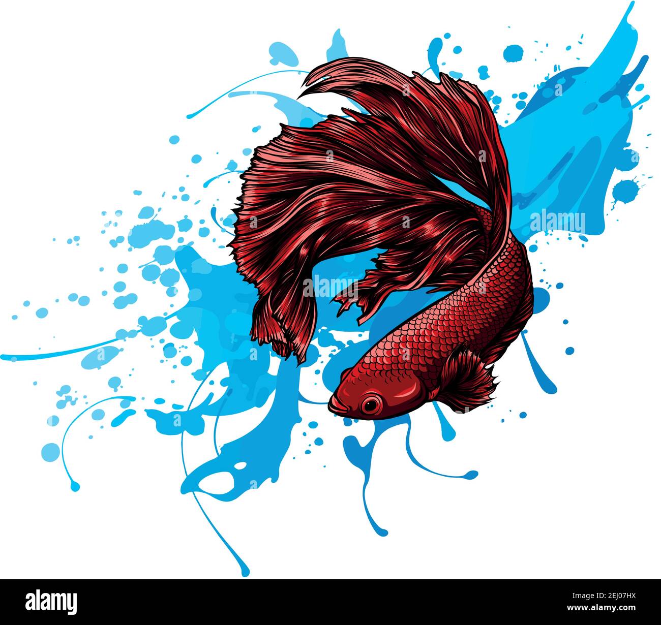 Colorful Betta Fish with water splash Vector Illustration. Stock Vector