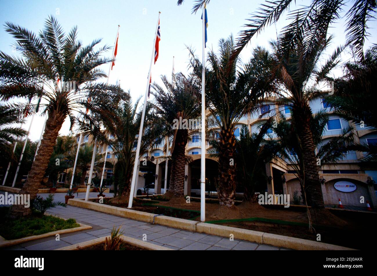 Palm Trees SAS Hotel Kuwait City Kuwait Stock Photo Alamy