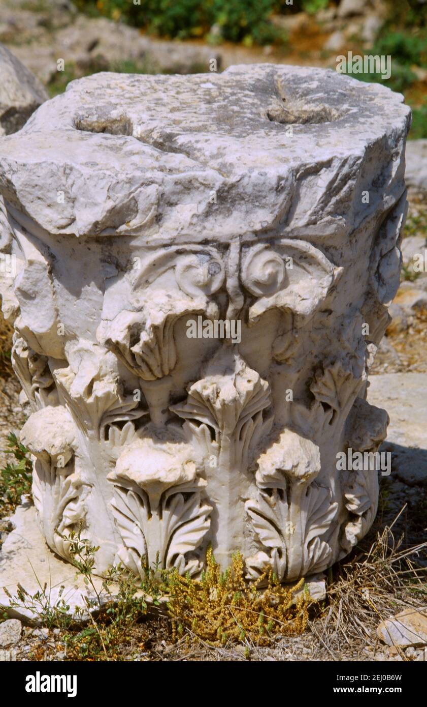 Baalbek Lebanon Corinthian Column Capital Stock Photo
