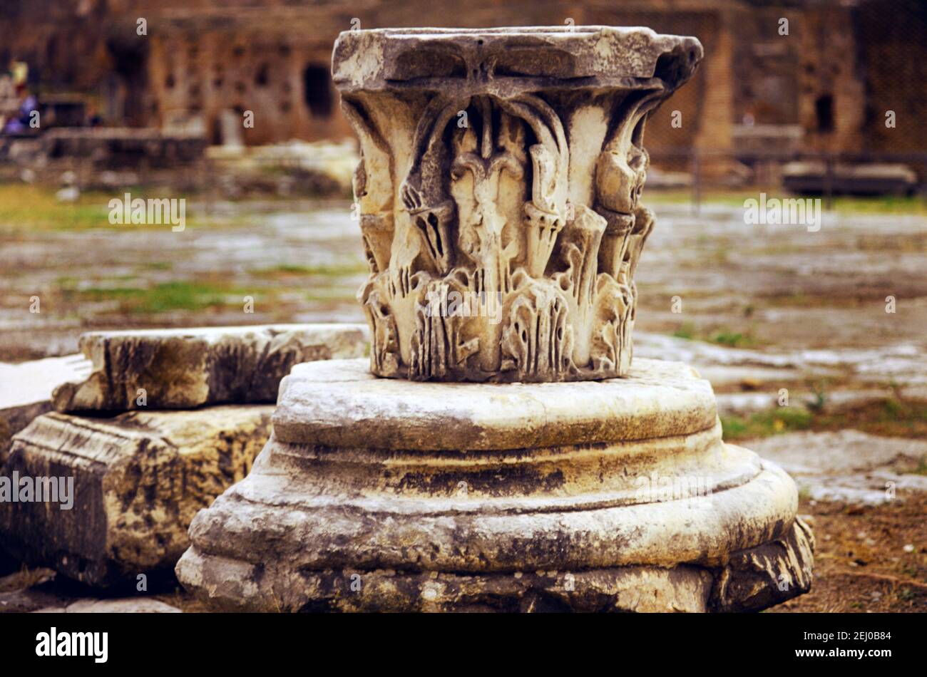 Rome Italy Roman Forum Corinthian Column Stock Photo - Alamy