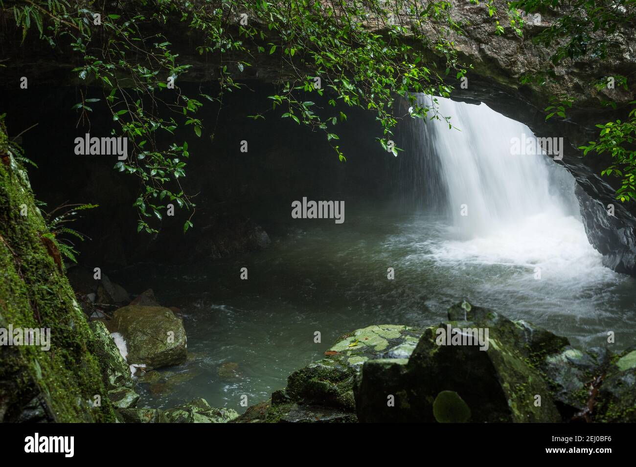 Natural bridge, Cave Creek, Springbrook National Park, Queensland