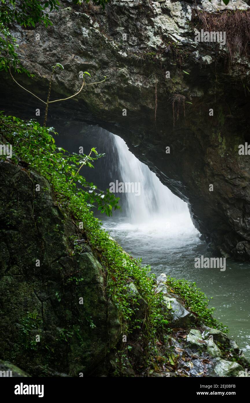 Natural bridge, Cave Creek, Springbrook National Park, Queensland