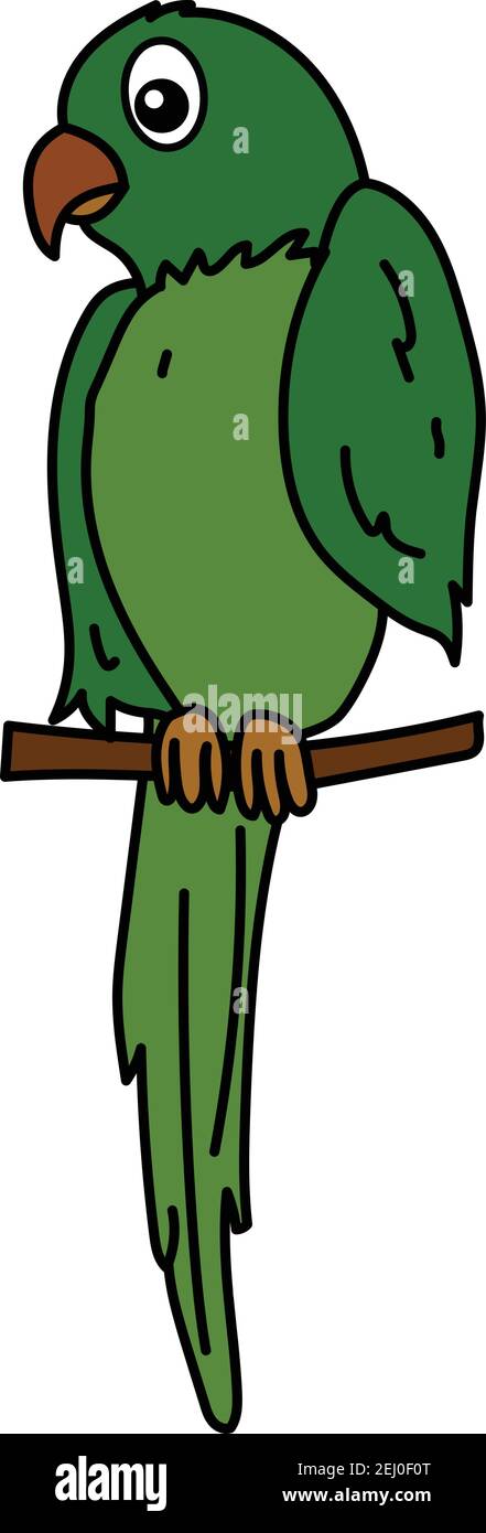 Parrot Vector Art stock illustration isolated in white background Stock ...