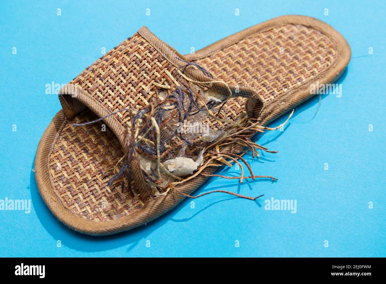 One of the problems that awaits you if you have a puppy is gnawed slippers. Tattered bamboo slipper Stock Photo