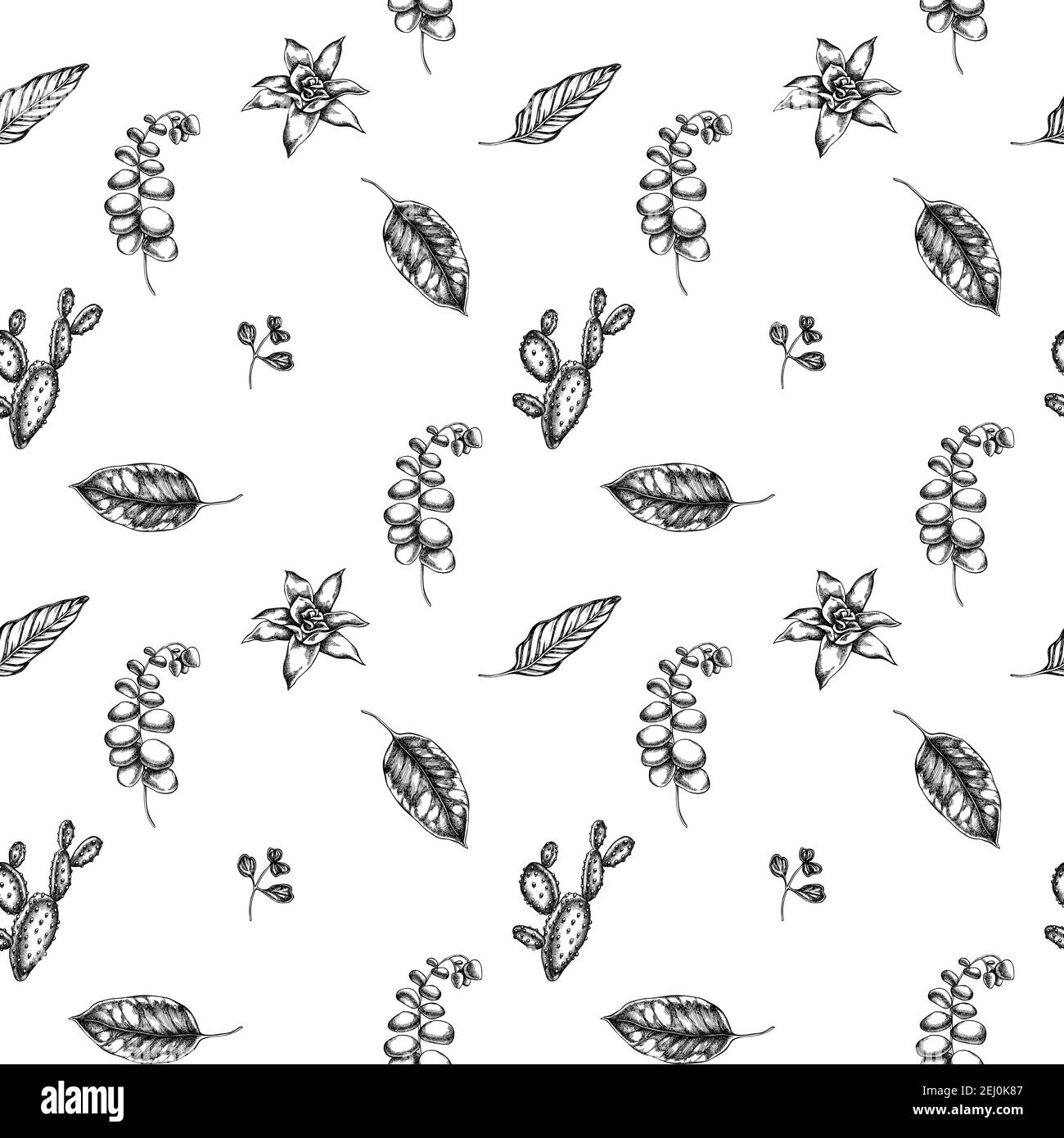 Seamless pattern with black and white ficus, iresine, kalanchoe, calathea, guzmania, cactus Stock Vector