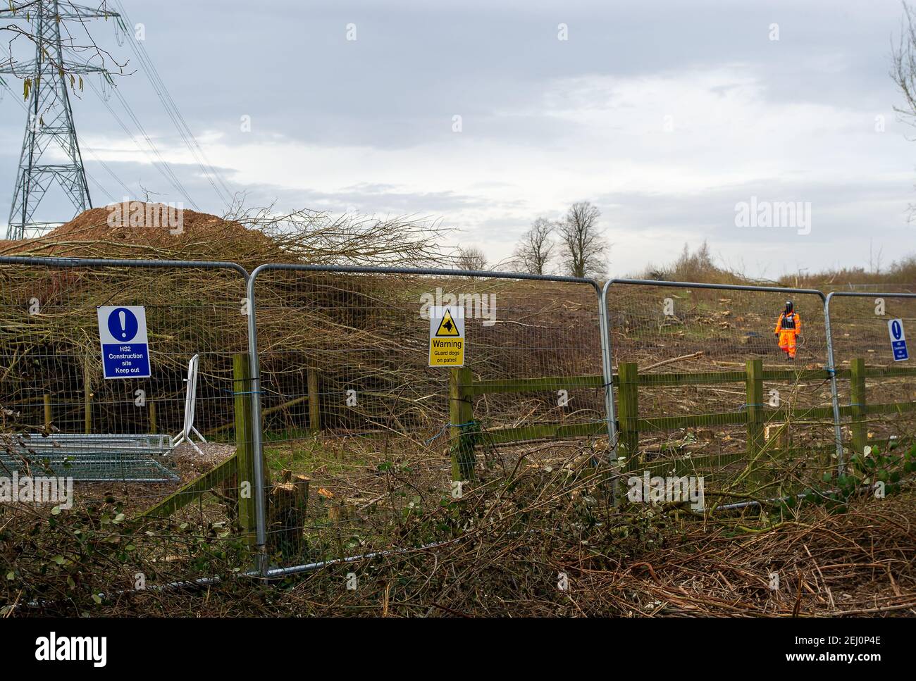 Aylesbury, Buckinghamshire, UK. 20th February, 2021. An HS2 dog guards inside an HS2 compound where HS2 have destroyed an hazel coppice. HS2 Ltd have taken over an area of woodland in Aylesbury this week and have been felling huge mature trees late at night and into the early hours in the beautiful Spinney woodland. HS2 have been unable to provide a copy of the Natural England Licence that they must have to allow this work to take place as bat roots are believed to be present in the woods. HS2 security guards are guarding the wood 24/7 and are also using vicious dogs to guard their nearby comp Stock Photo