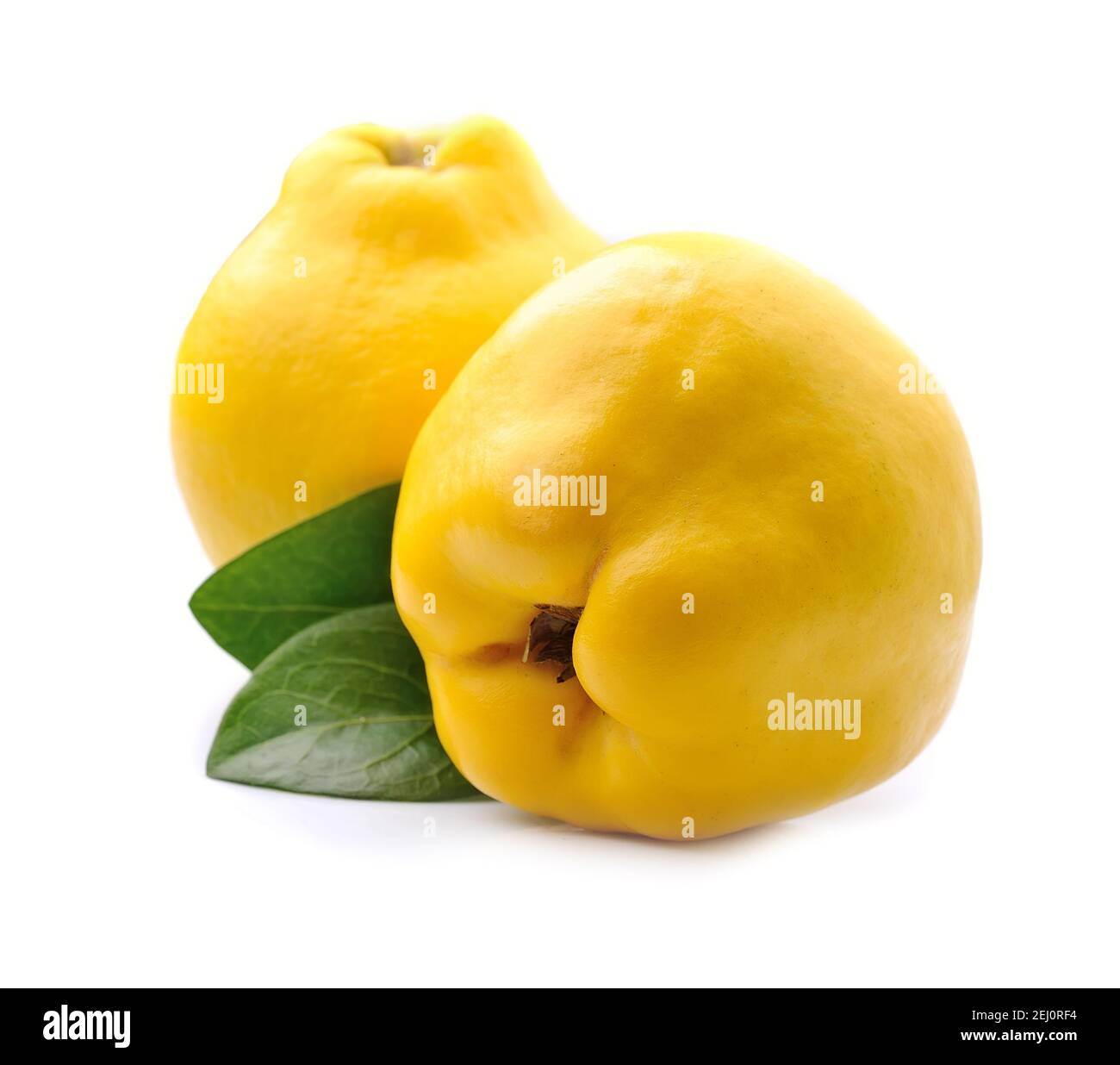 Sweet quince fruits in closeup on white backgrounds Stock Photo Alamy