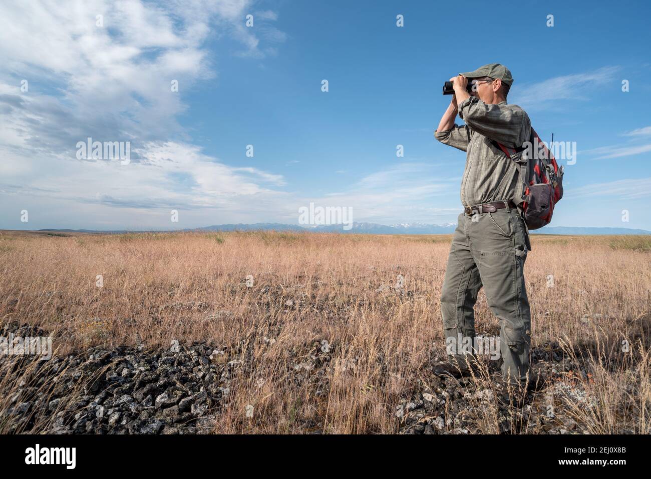 Jeff Fields, Program Manager for TNC's Zumwalt Prairie Preserve, looking out at the prairie, Oregon. Stock Photo