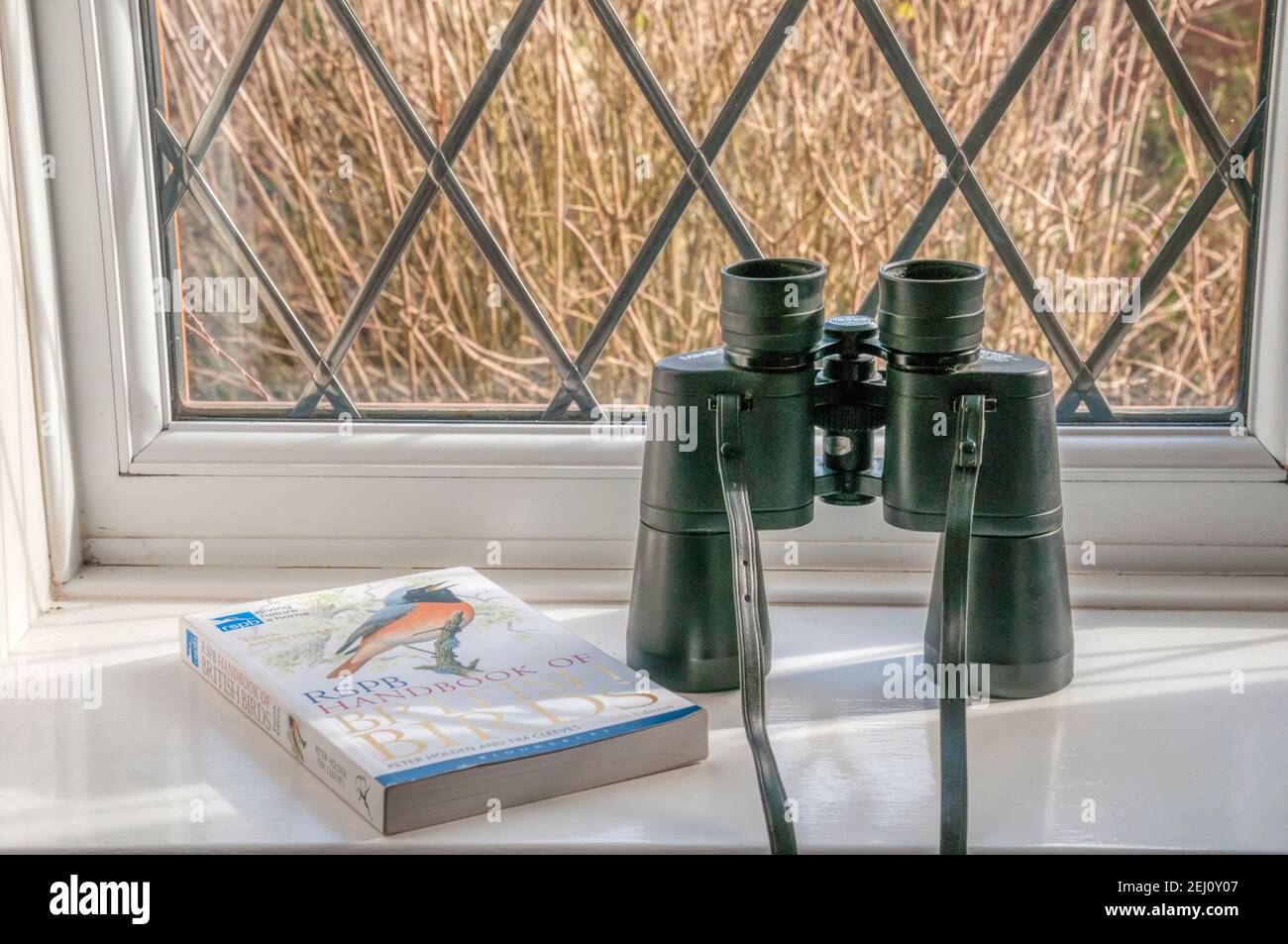Binoculars & bird recognition guide ready for bird watching from the garden window. Stock Photo