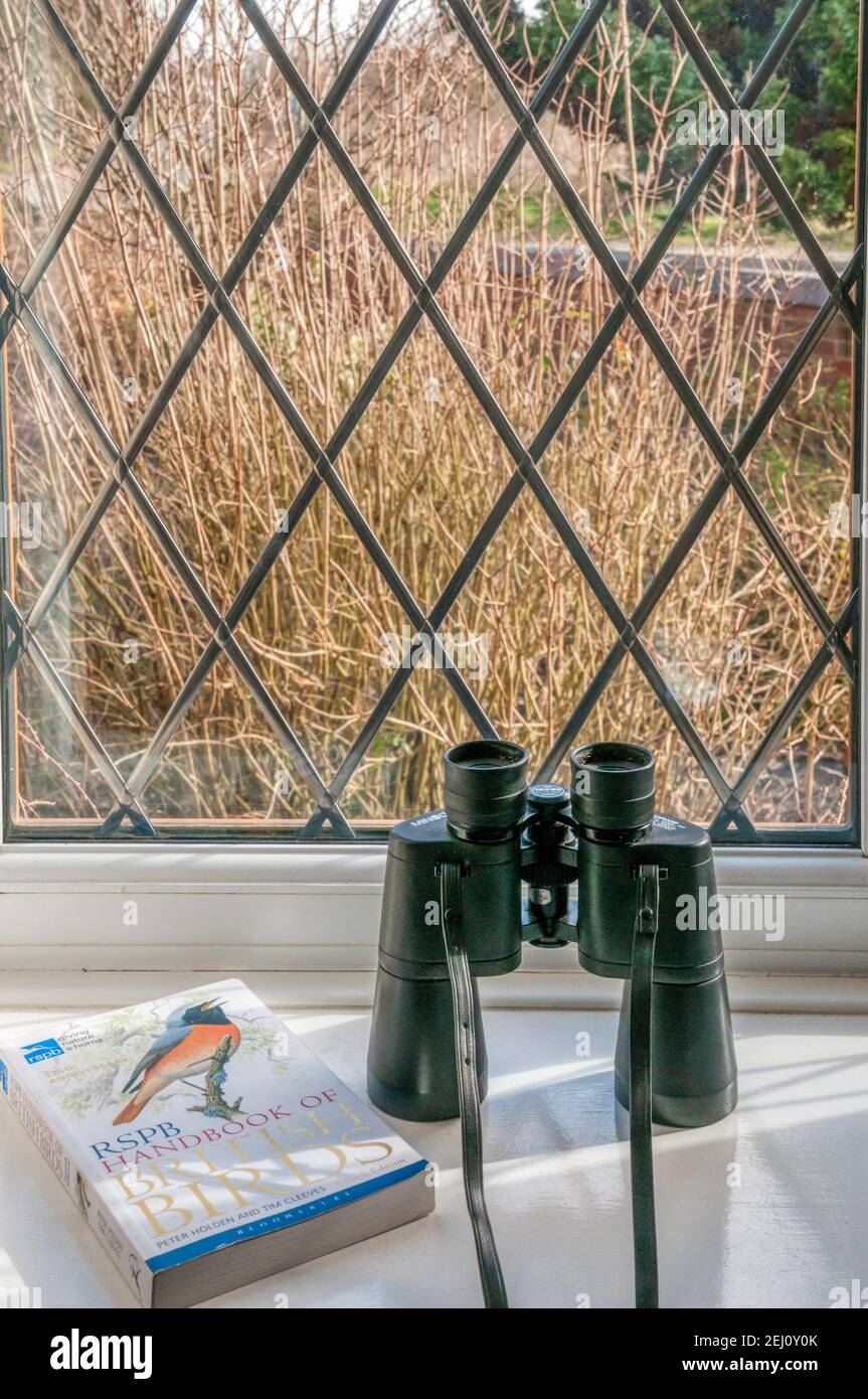 Binoculars & bird recognition guide ready for bird watching from the garden window. Stock Photo