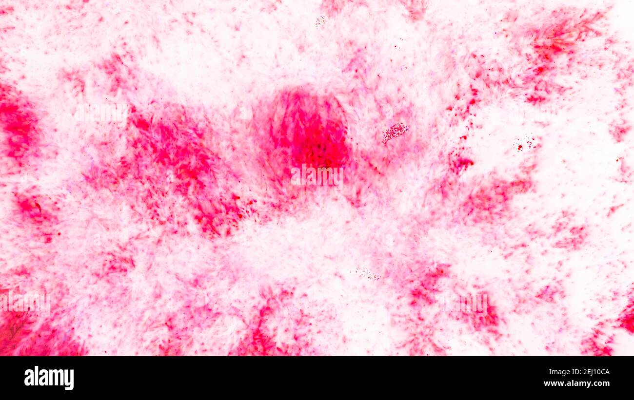 Fluid Art. Pink abstract texture. Liquid marble pattern. Abstract ink ...