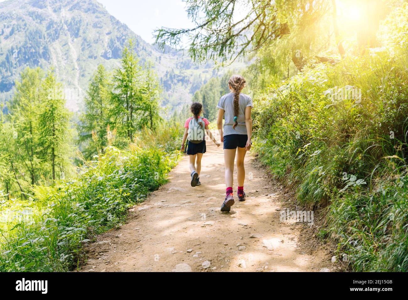 Children hiking on beautiful summer day in alps mountains Austria ...
