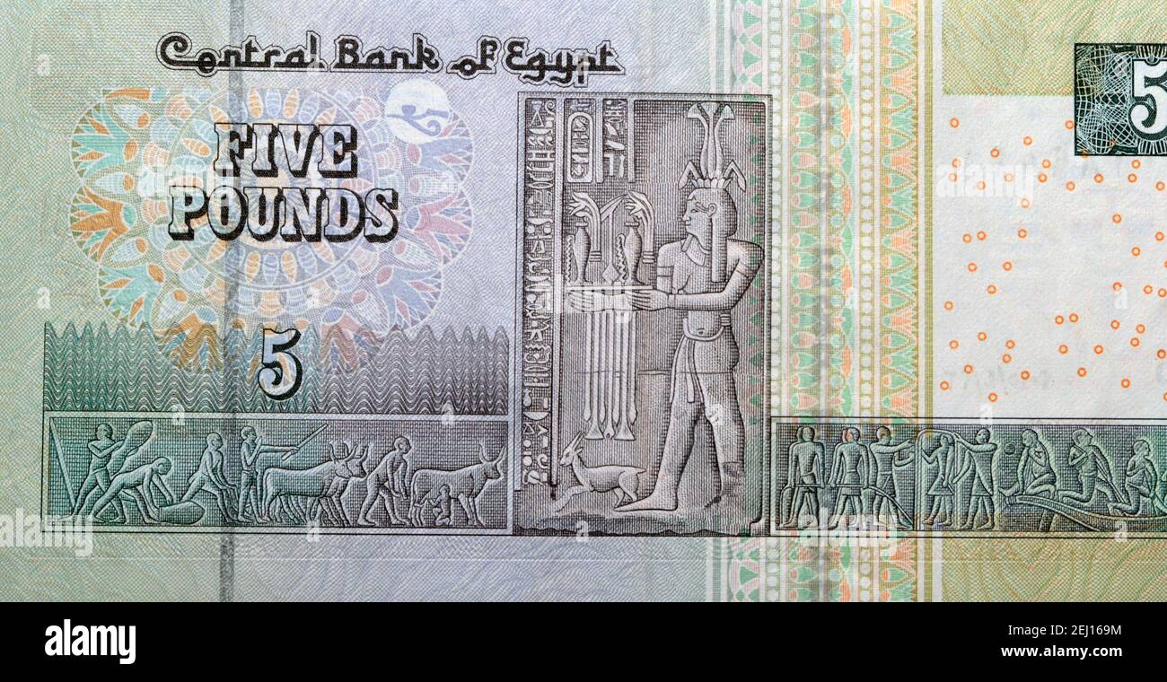 egypt-currency-of-five-pounds-banknote-year-2015-egyptian-money-cash