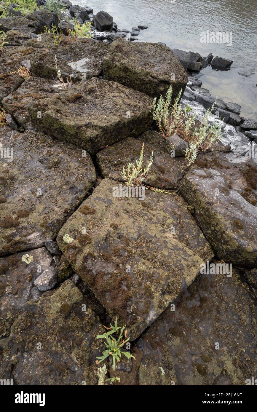 Columnar basalt formation along the shore of the Lower Salmon River