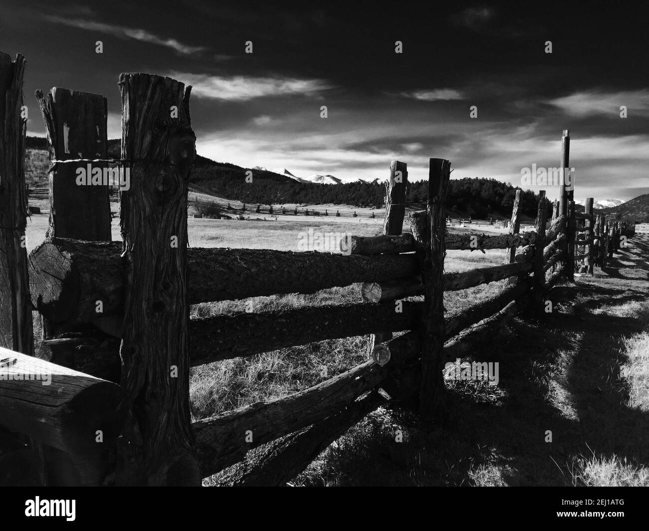 cemetery fence black and white