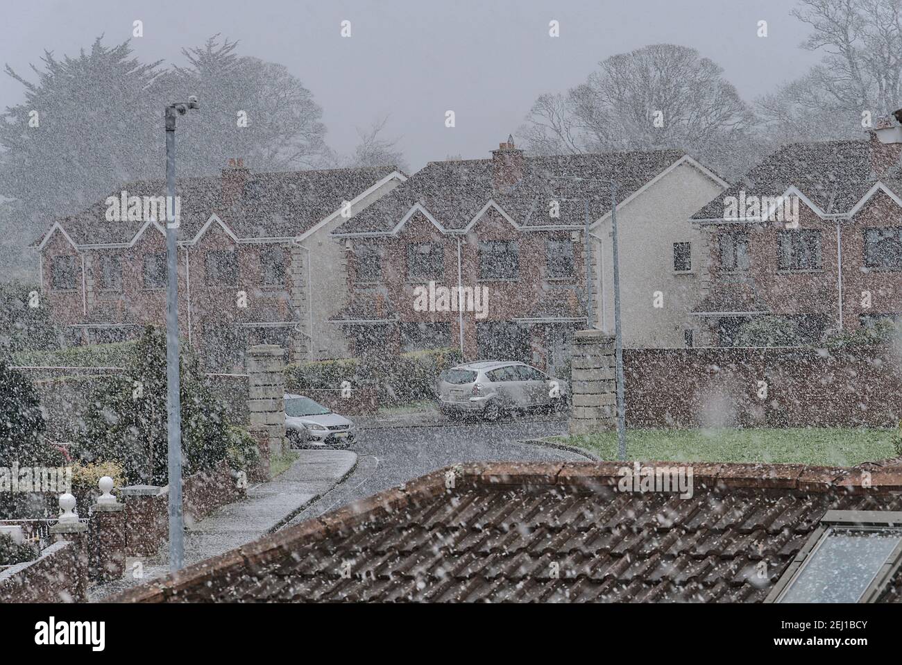 Beautiful heavy snowfall in Ballinteer,Southern Dublin, Ireland. Viewed