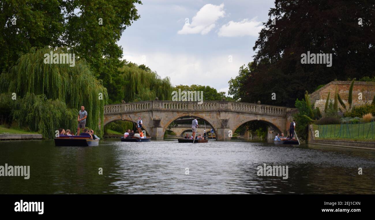 Several punts sail down the river Cam during the summer, Cambridge, England Stock Photo