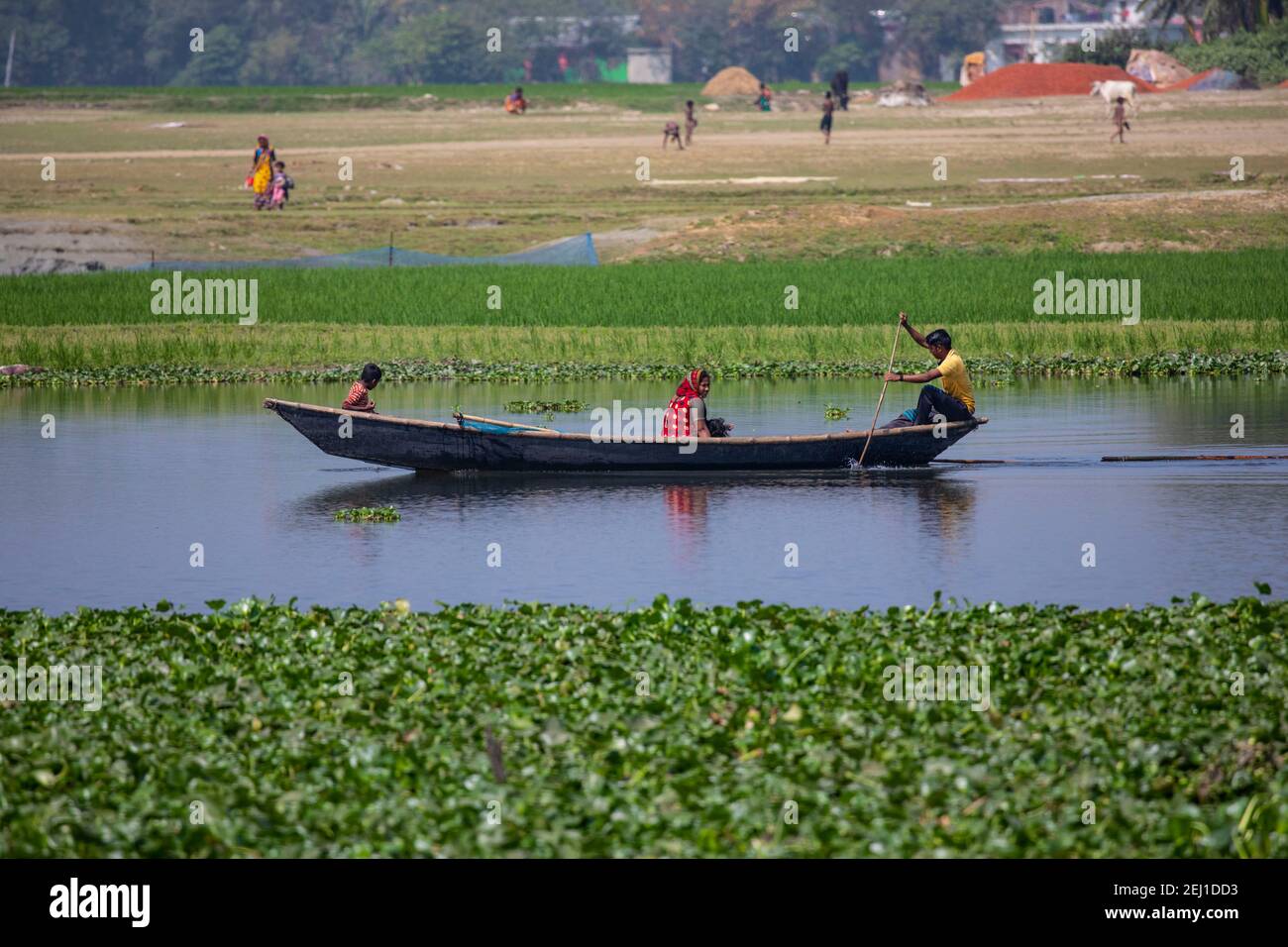 A man rowing boat in the Titas River at Brahmanbaria, Bangladesh Stock Photo