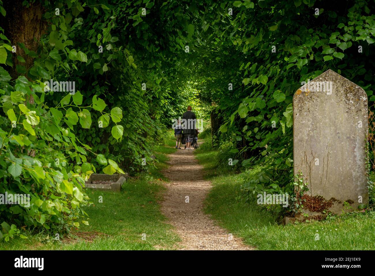 Garden path under trees hi-res stock photography and images - Alamy