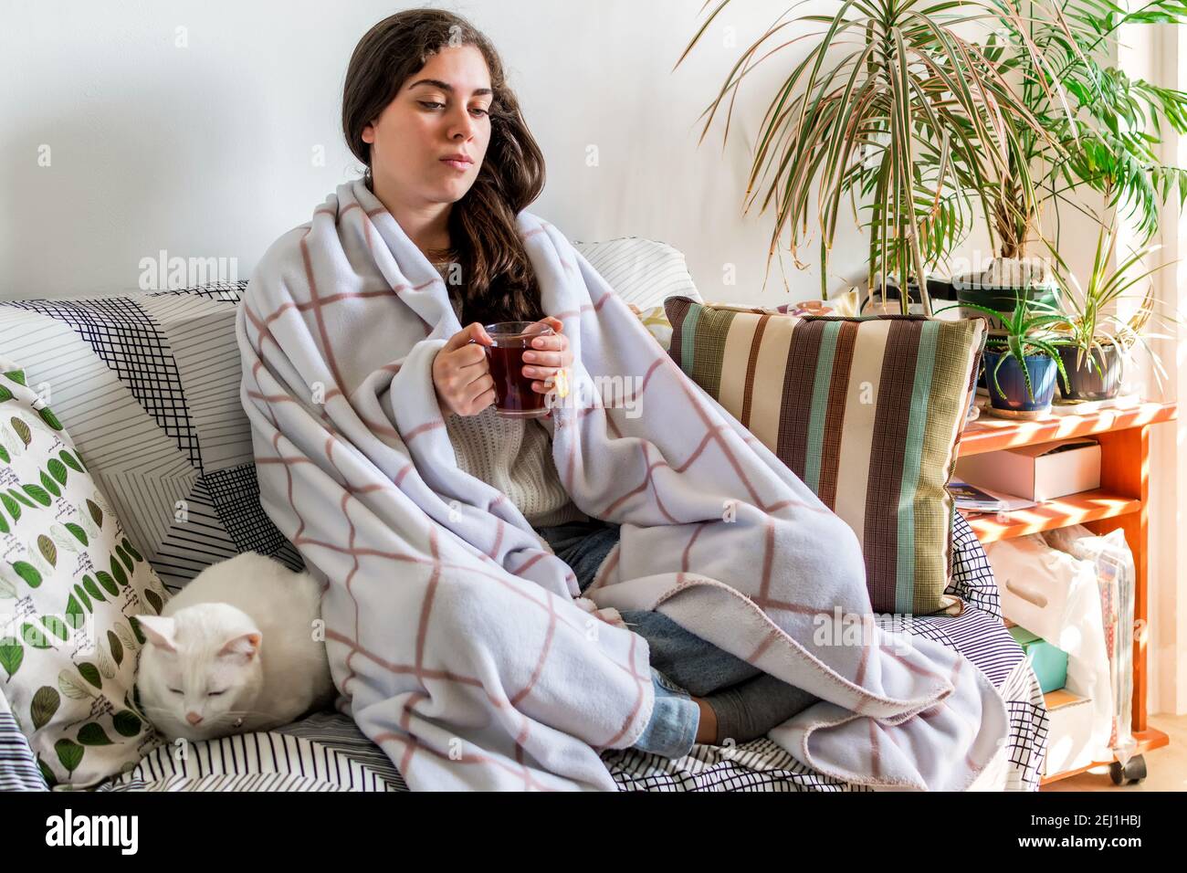 A young female wrapped in a blanket sitting on a sofa with a white cat