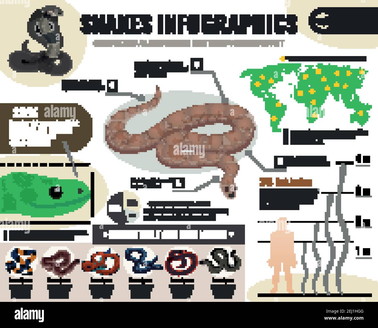 Snakes reptiles infographics with information about royal python and ...
