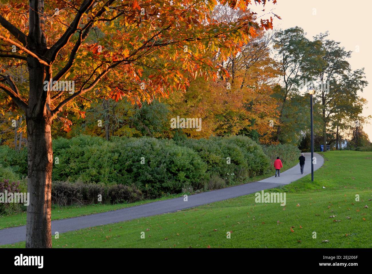 Walking in the public park in autumn at sunset - healthy lifestyle Stock Photo
