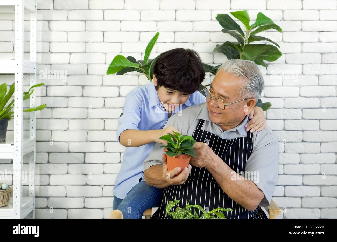 A retired grandfather teaches his grandson to look at the characteristics of plants in pots. Relaxing atmosphere on vacation at home. Stock Photo