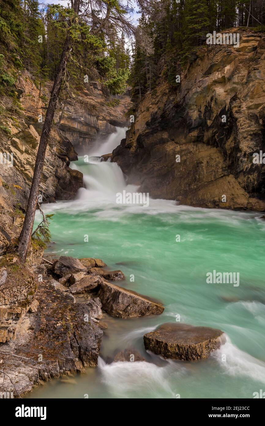 Long exposure of green refreshing waterfall in a canyon with tress, Sunwapta Falls, Jasper National Park, Alberta, Canada Stock Photo