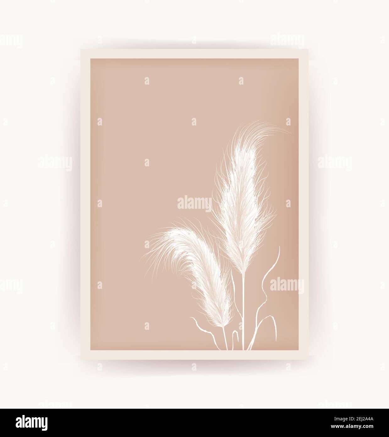 Pampas Grass Outdoor in Light Pastel Colors Sunny Wheat Wallpaper in Boho  Style Golden Ripe Ears on Sunny Morning Stock Image  Image of autumn  light 201269409
