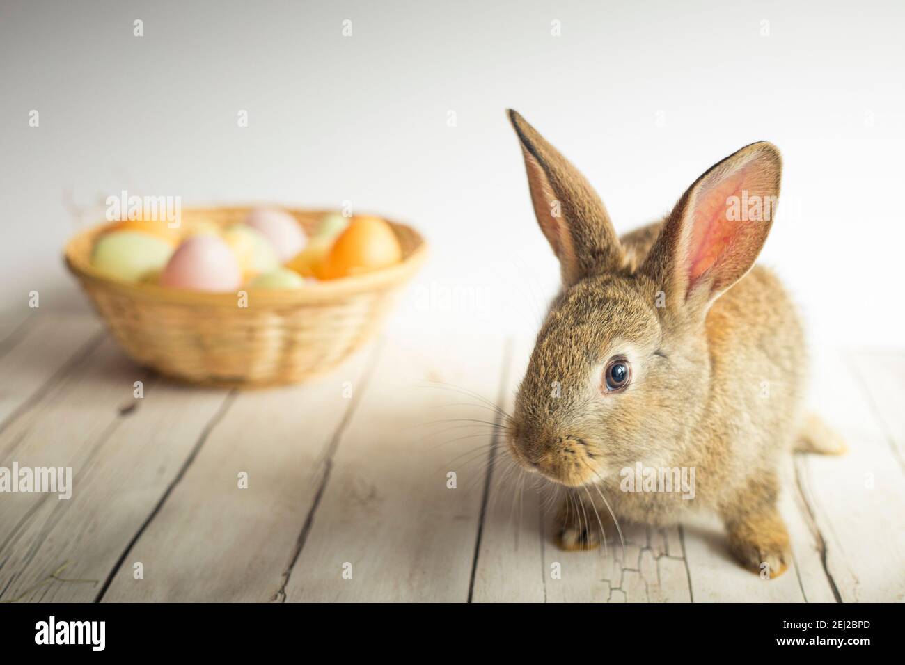 Cute Easter bunny with eggs basket in the background. Spring background ...