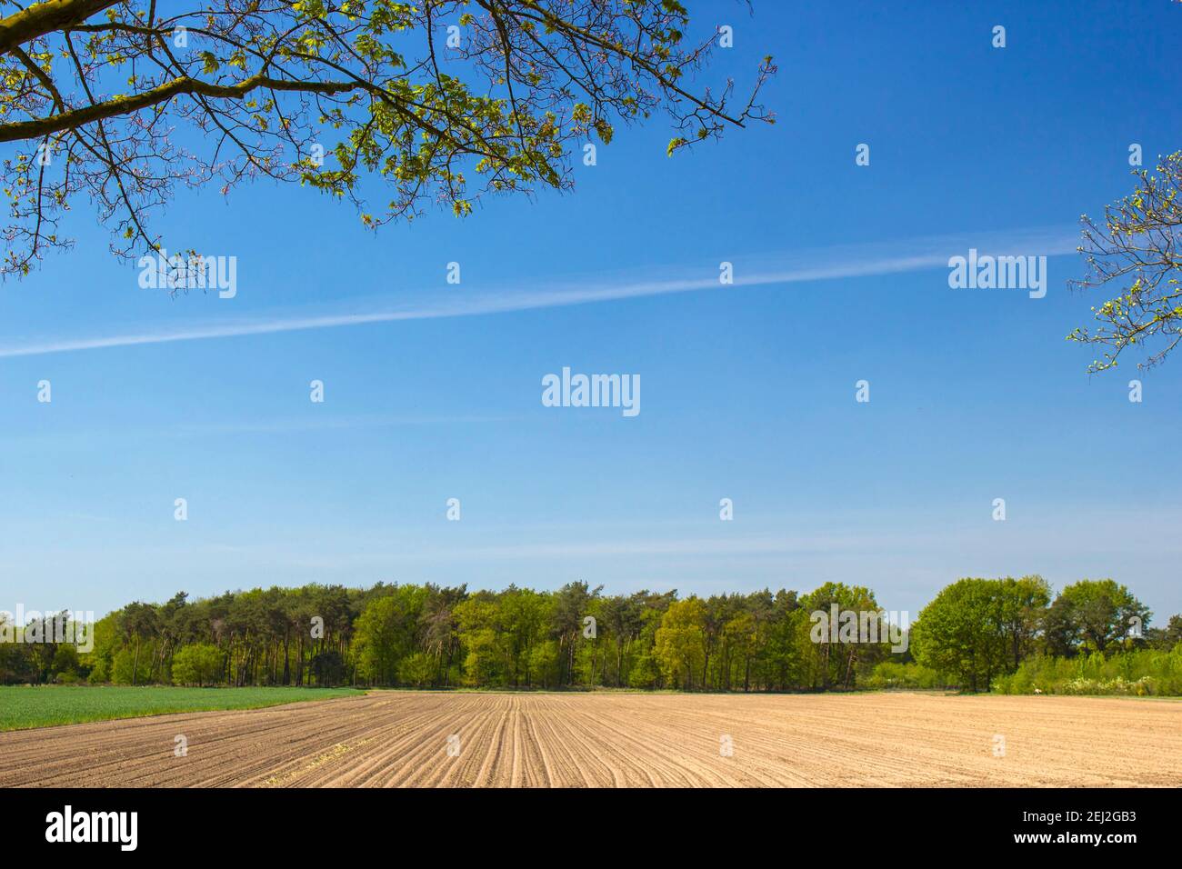 Outre Rhin German region hi-res stock photography and images - Alamy