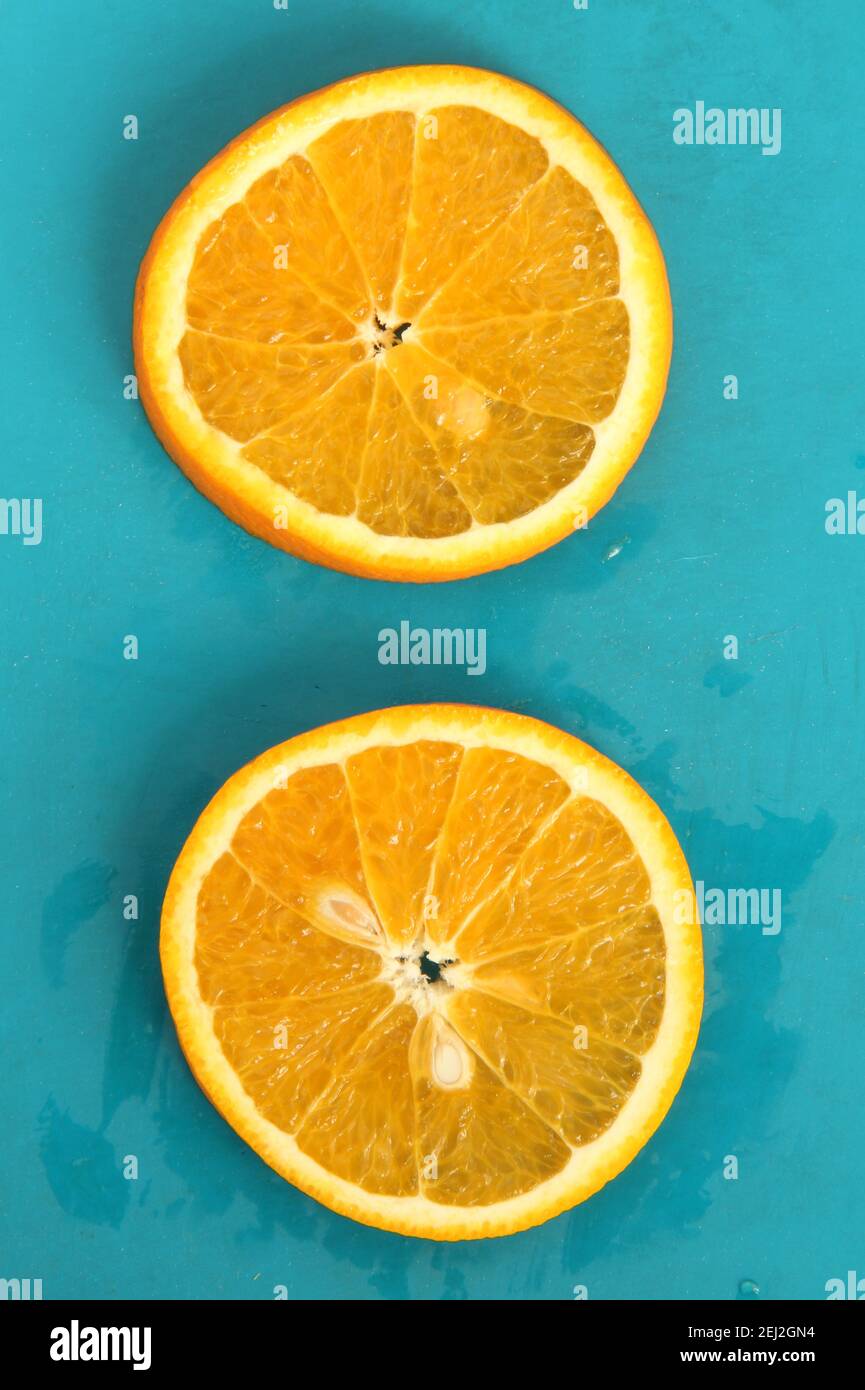 Close up of two round orange citrus slices on blue background, fresh
