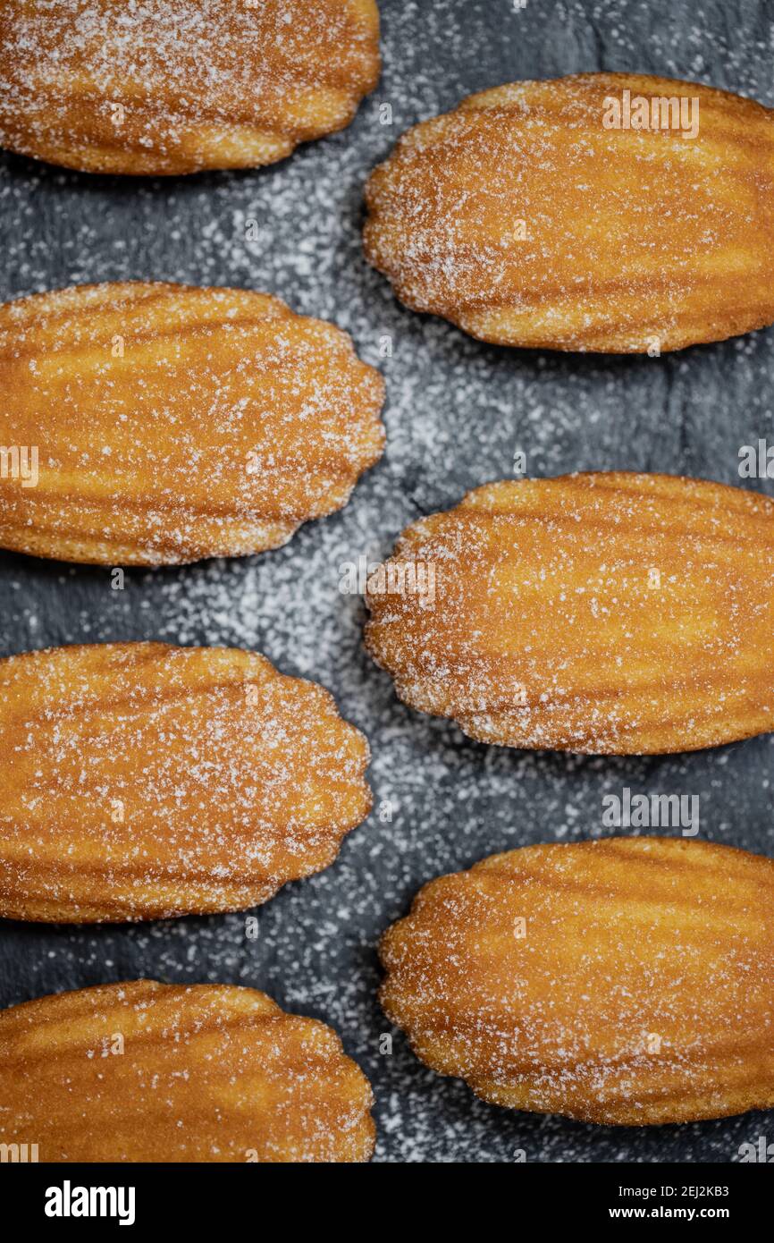 French madeleines cookies with icing sugar on a stone plate Stock Photo