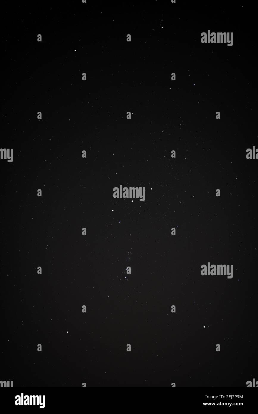 Constellation Orion on a clear night Stock Photo
