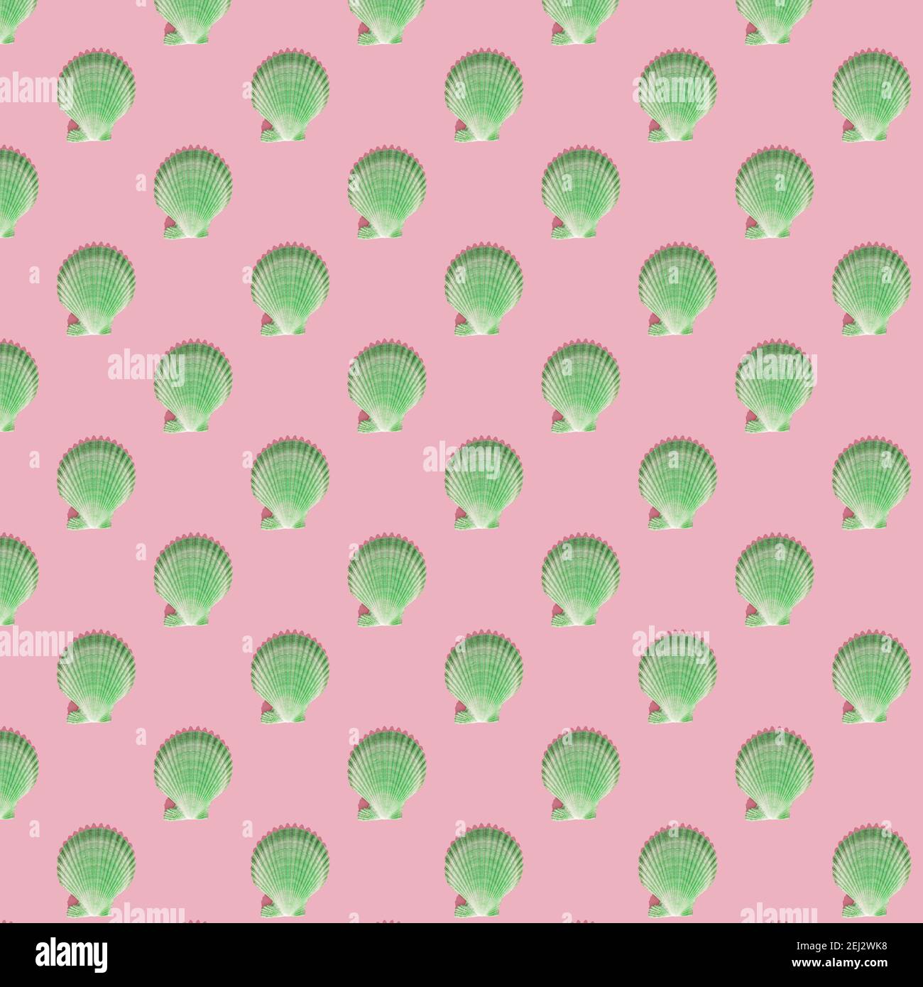 Green sea shell seamless pattern with hard shadow on pink background ...