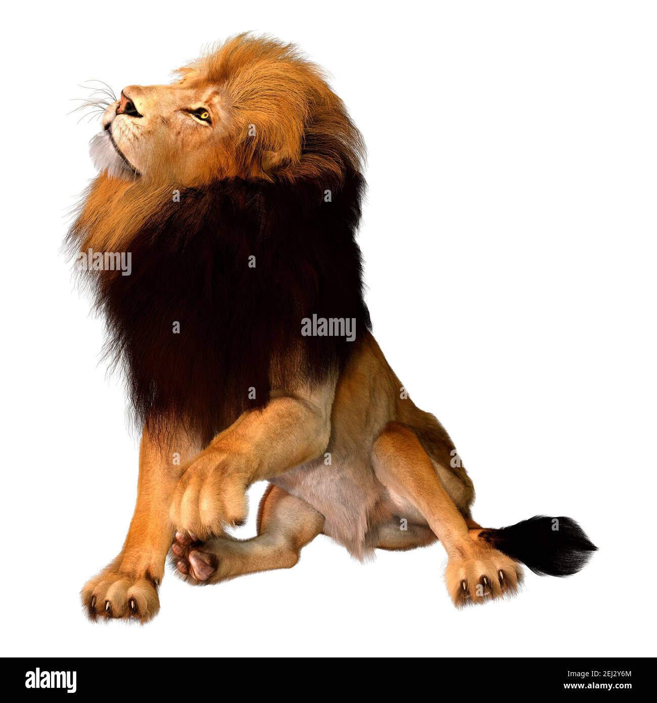 My Image 15