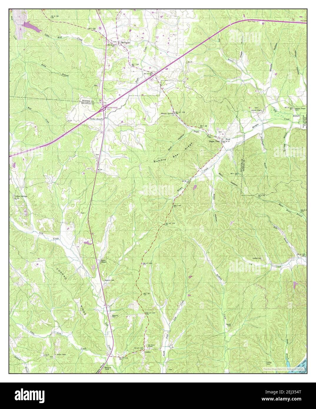 Tree survey Cut Out Stock Images & Pictures Alamy