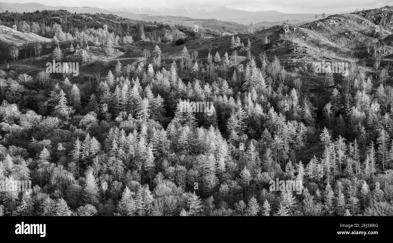 Epic Winter black and white landscape image view from Holme Fell in