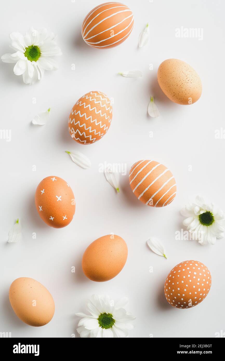 Easter flat lay composition. Easter eggs and spring flowers on white ...