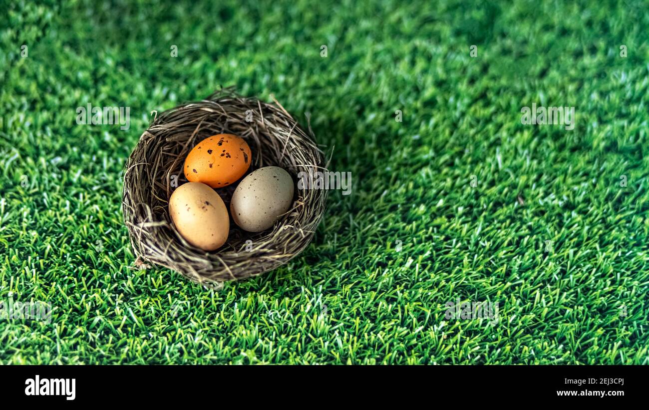 Easter eggs in a natural nest on a green background with grass texture ...