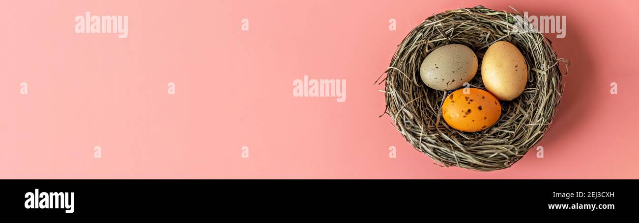 Easter eggs in a natural nest with bird eggs on a pink background. View ...